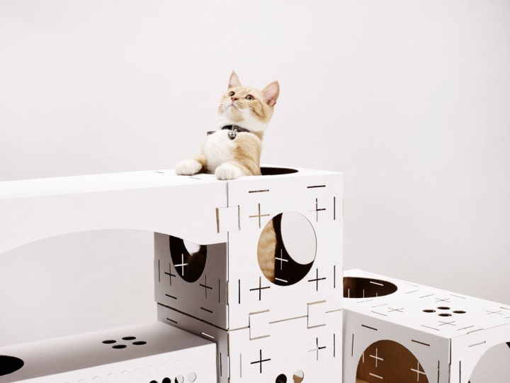 11 Diy Cat Houses You Can Easily Make Petlife