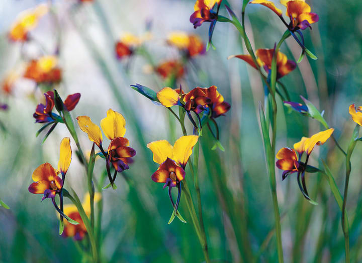 Best Wildlife Photographers on Instagram to Follow Photography