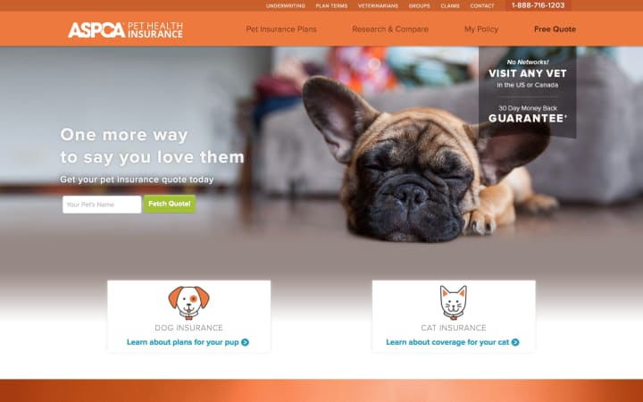 Best Pet Insurance Companies Petlife