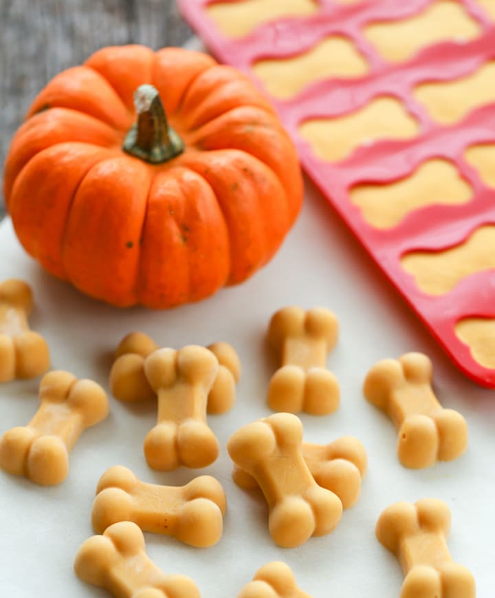 Best No Bake Dog Treat Recipes Petlife