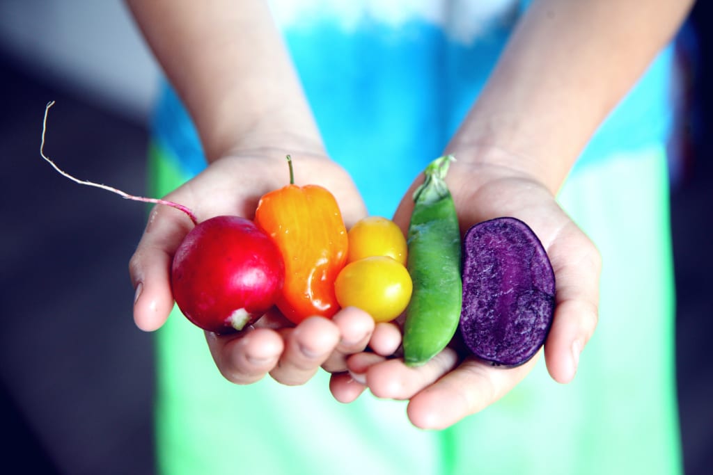 How to Make Your Diet More Environmentally Friendly How to Make Your Diet More Environmentally Friendly