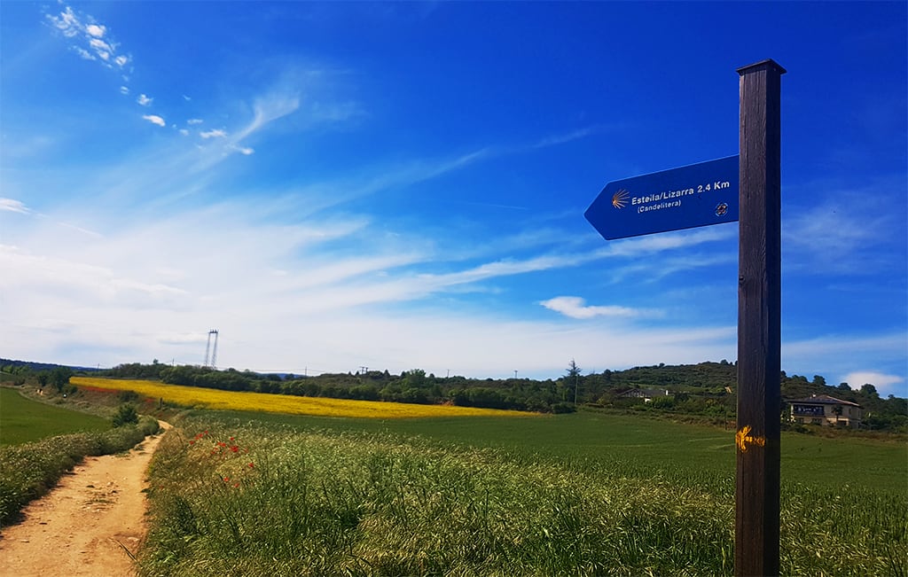 Camino de Santiago, Day 5—From Puente la Reina to Estella Camino de Santiago, Day 5—From Puente la Reina to Estella