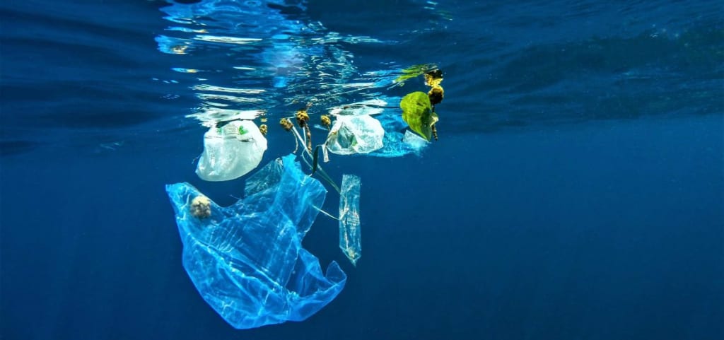 How to Decrease Single Plastic Use How to Decrease Single Plastic Use
