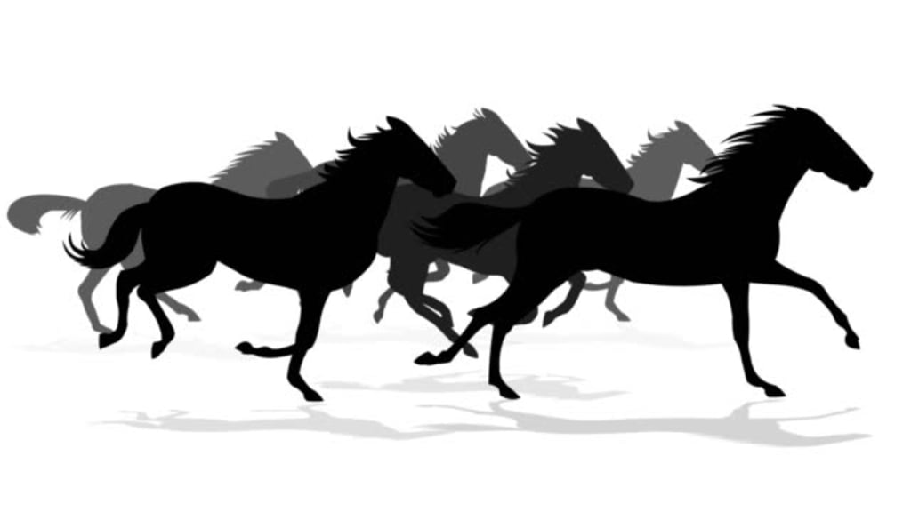 The Breath of Horses The Breath of Horses