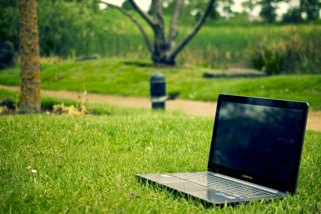 Pros and Cons of Starting a Lawn Care Business Pros and Cons of Starting a Lawn Care Business