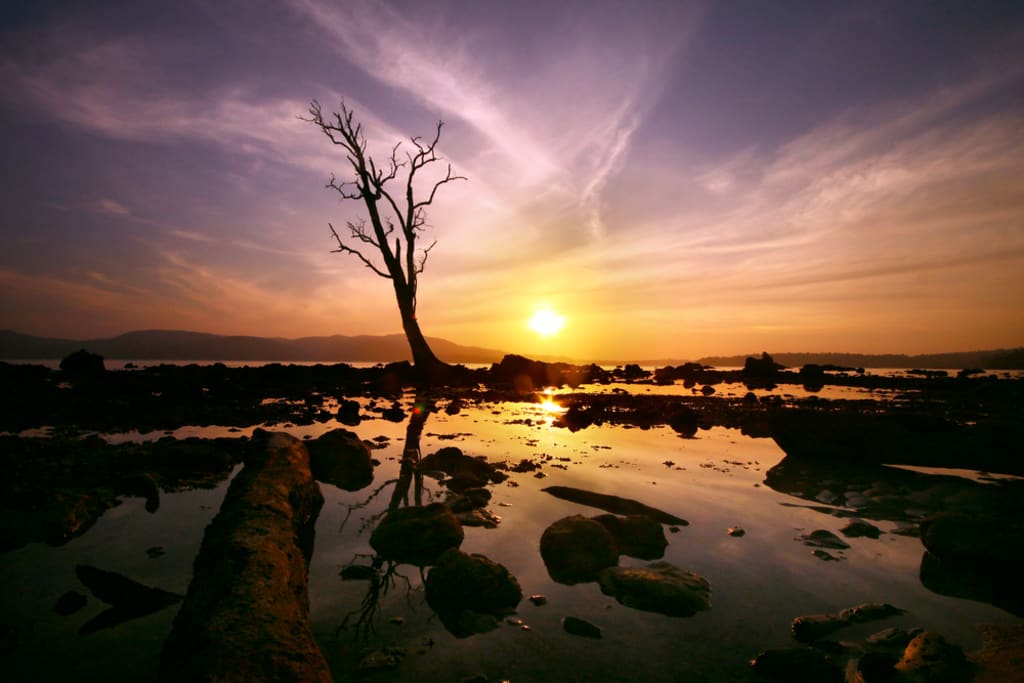 Why Andaman Is the Best Place to Visit in India Why Andaman Is the Best Place to Visit in India