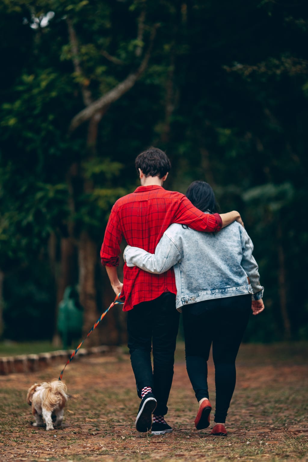 4 Tips to Picking the Right Pet for Your Family 4 Tips to Picking the Right Pet for Your Family