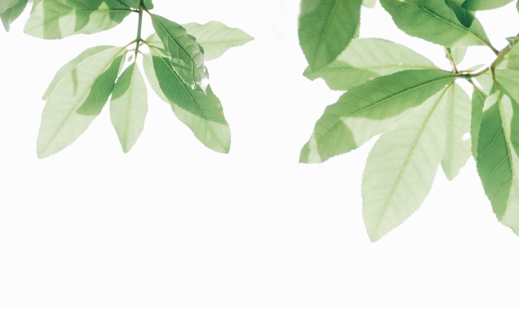 5 Easy Ways to Lower Your Utility Bills 5 Easy Ways to Lower Your Utility Bills