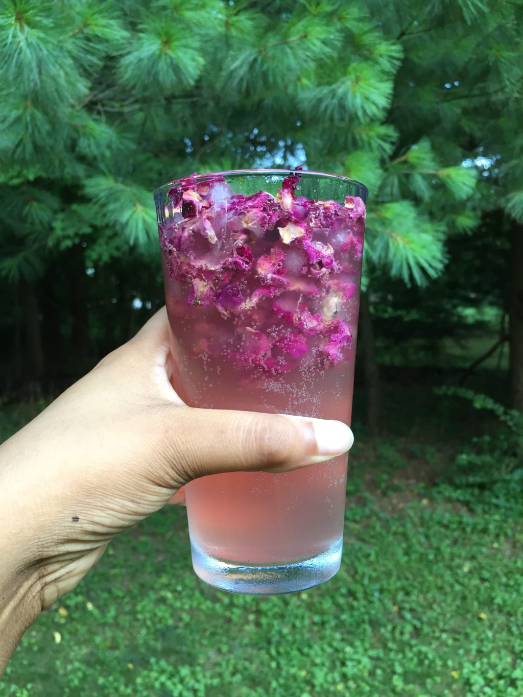 Watermelon Rose Fizz Watermelon Rose Fizz