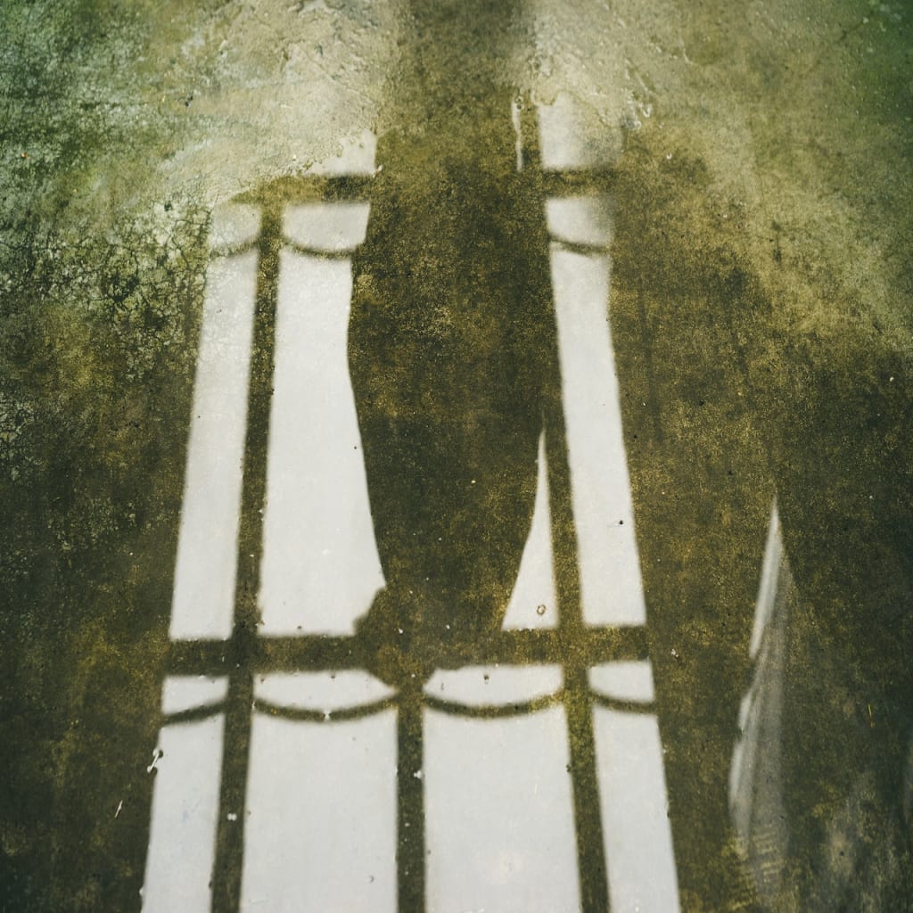 The Caretaker The Caretaker