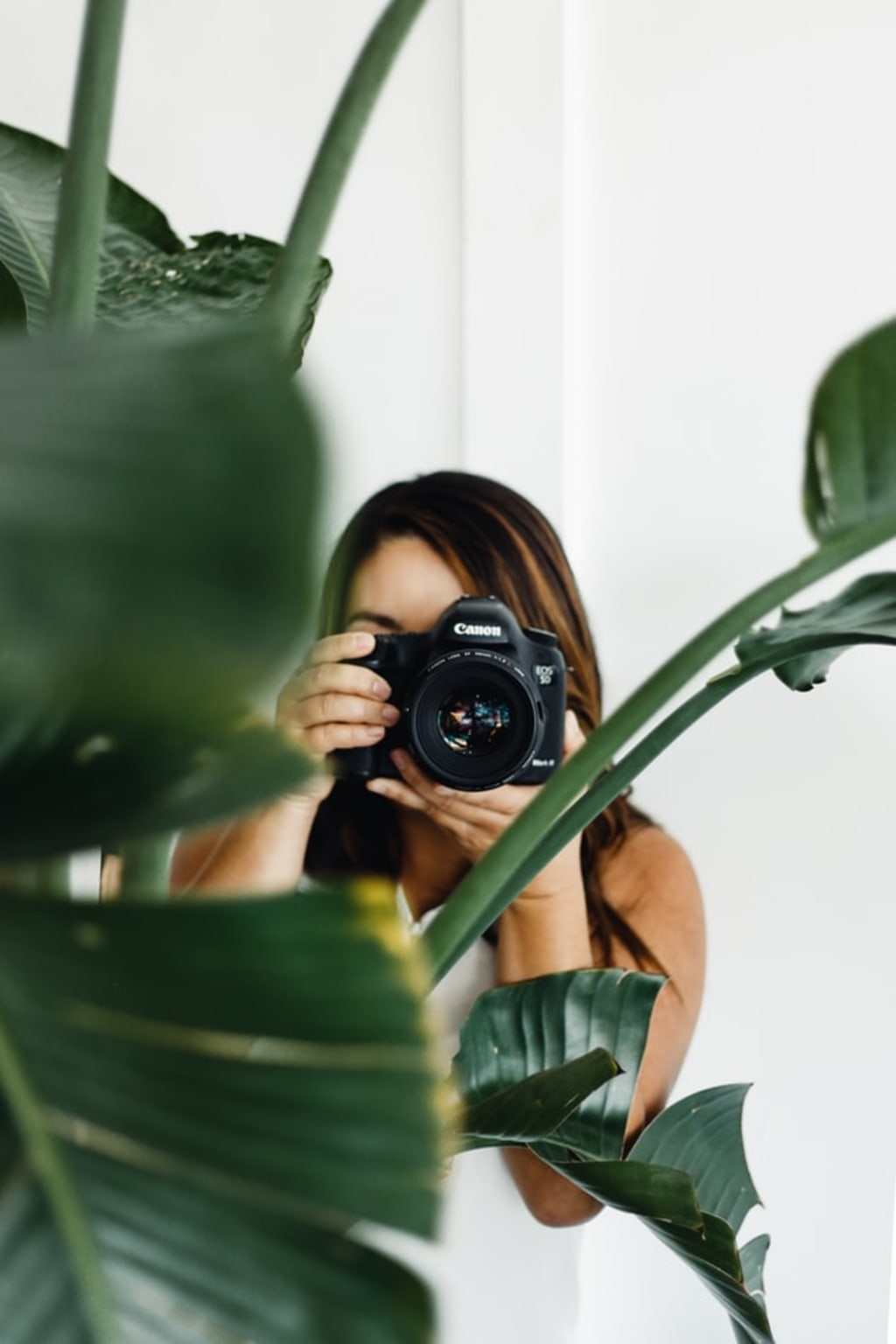 The Best Cameras for Bloggers The Best Cameras for Bloggers