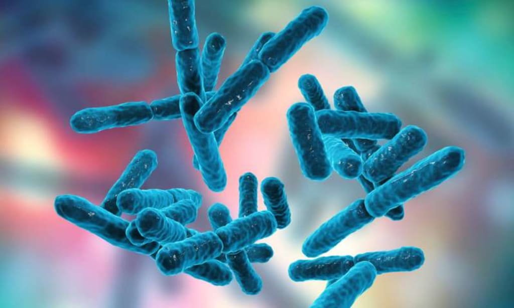 What You Should Know About Probiotics? What You Should Know About Probiotics?