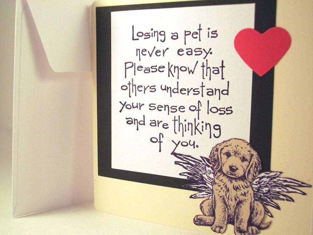 The Worst Part of Losing a Pet Is Losing Them The Worst Part of Losing a Pet Is Losing Them