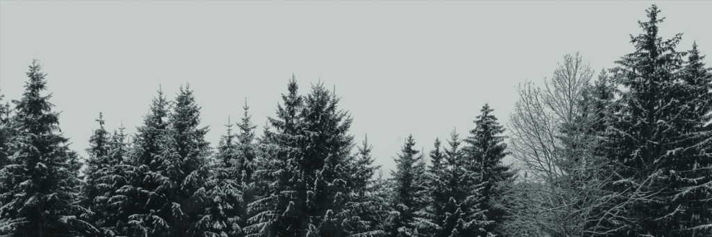 Spoonie Tips for Surviving Winter Spoonie Tips for Surviving Winter