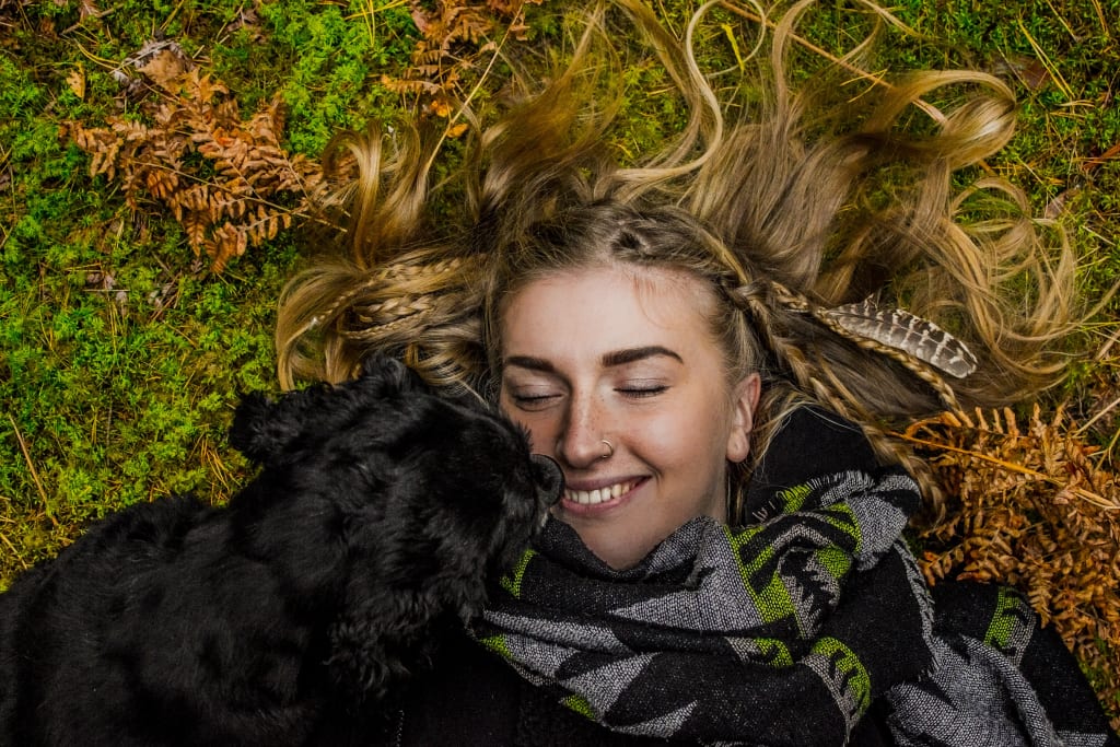 The Power of Dogs The Power of Dogs