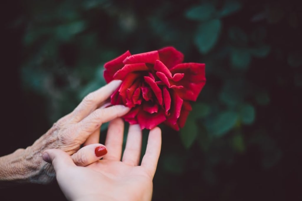 My Grandmother Life and How She Used to Live It My Grandmother Life and How She Used to Live It