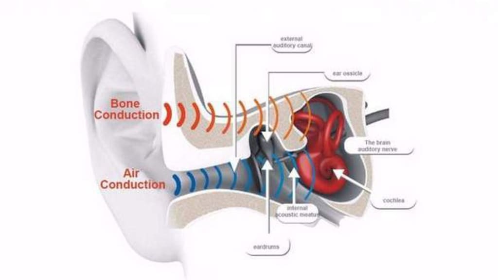 How Does Bone Conduction Work How Does Bone Conduction Work