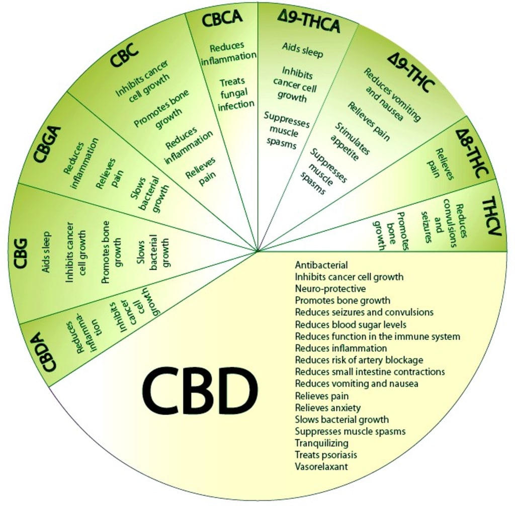 CBD Choices CBD Choices