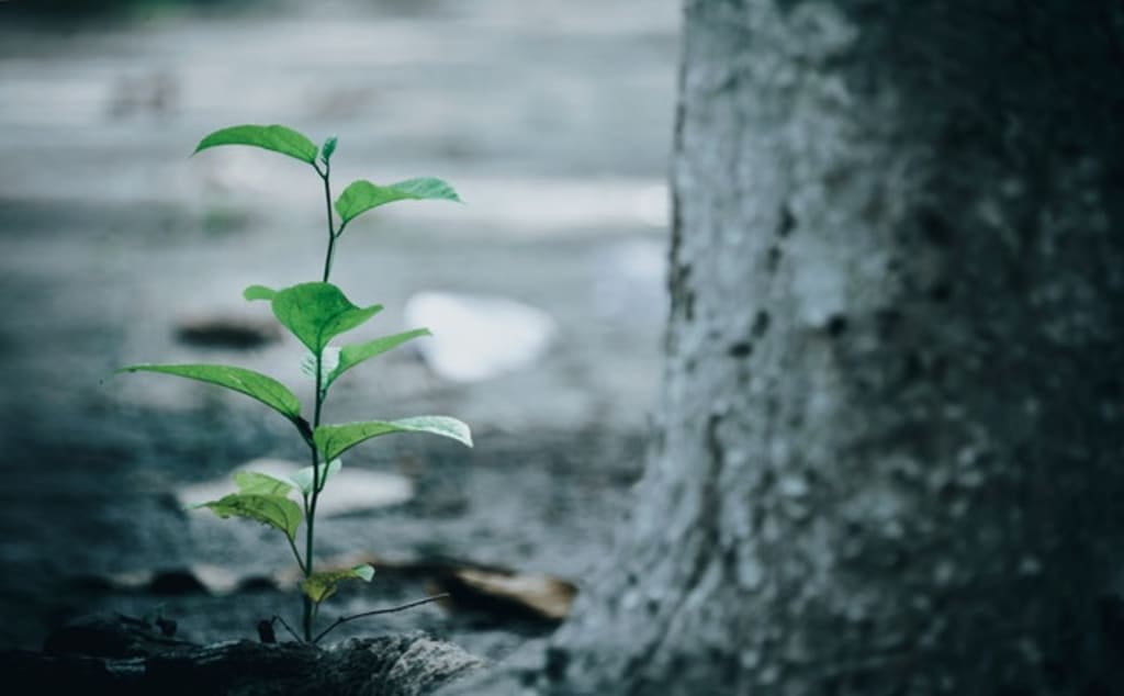Are You Really Going Zero Waste? Are You Really Going Zero Waste?