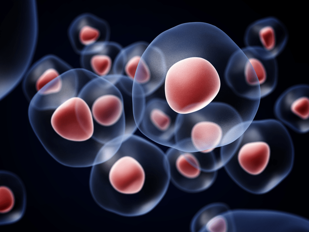 Why Nanotechnology Is Important? Why Nanotechnology Is Important?
