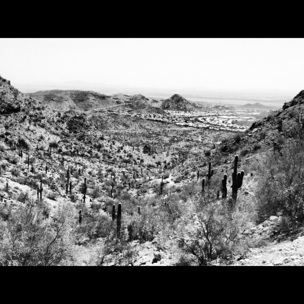 Arizona Voice Arizona Voice