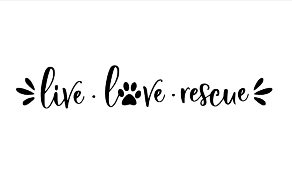 The Love You Give The Love You Give