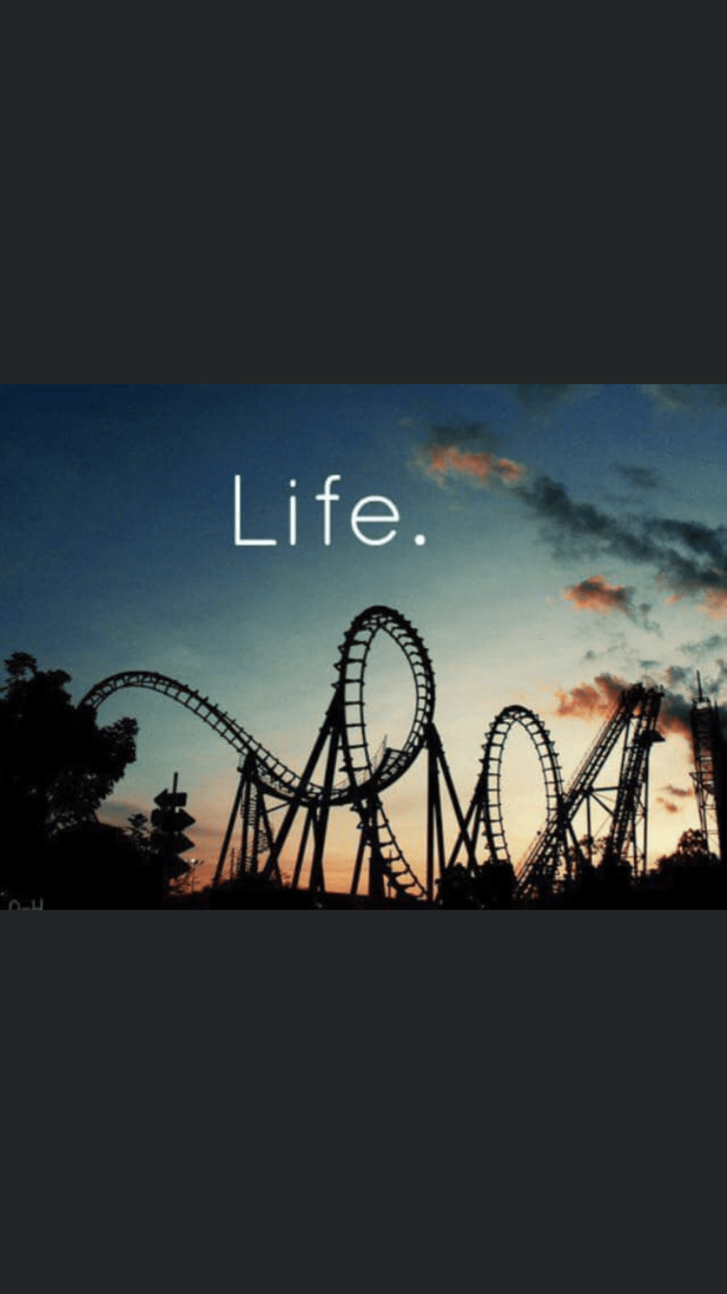 Ride the Rollercoaster Ride the Rollercoaster