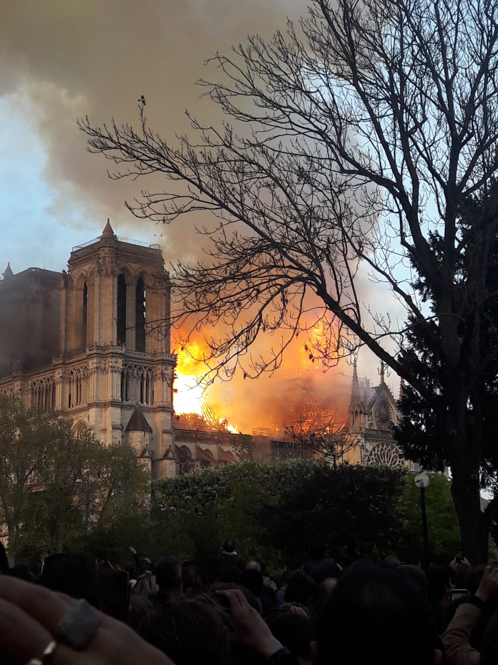 Notre Dame Eye Witness Account Notre Dame Eye Witness Account