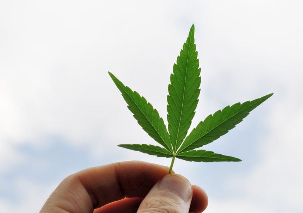 Hempformation Hempformation