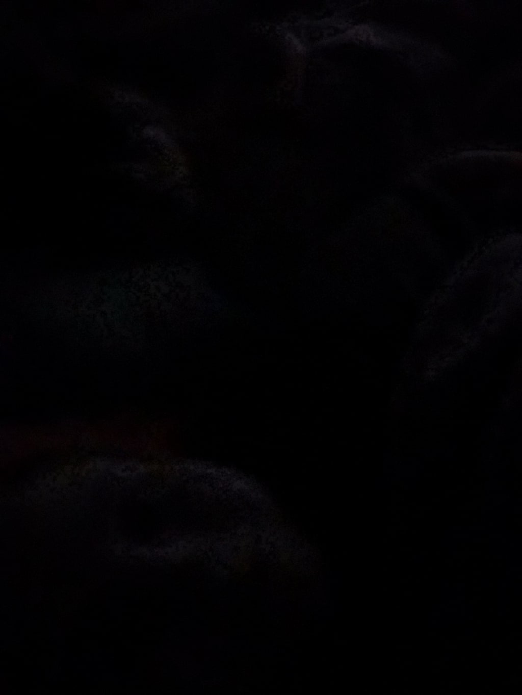 The Demon The Demon