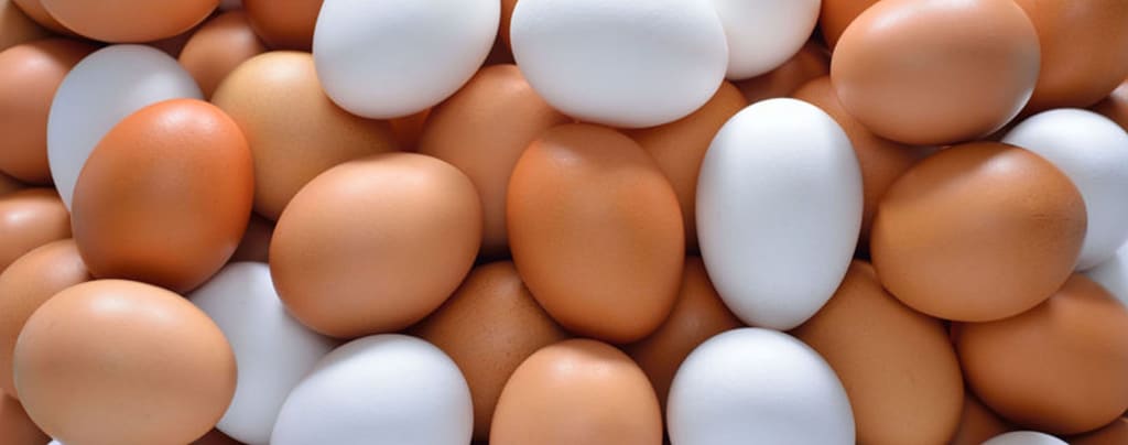 Differences Between White and Brown Eggs Differences Between White and Brown Eggs