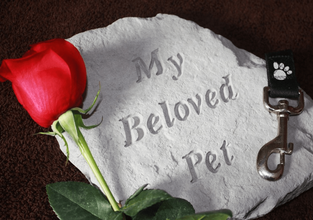 Grieving a Pet Can Be a Slow, Painful Process Grieving a Pet Can Be a Slow, Painful Process