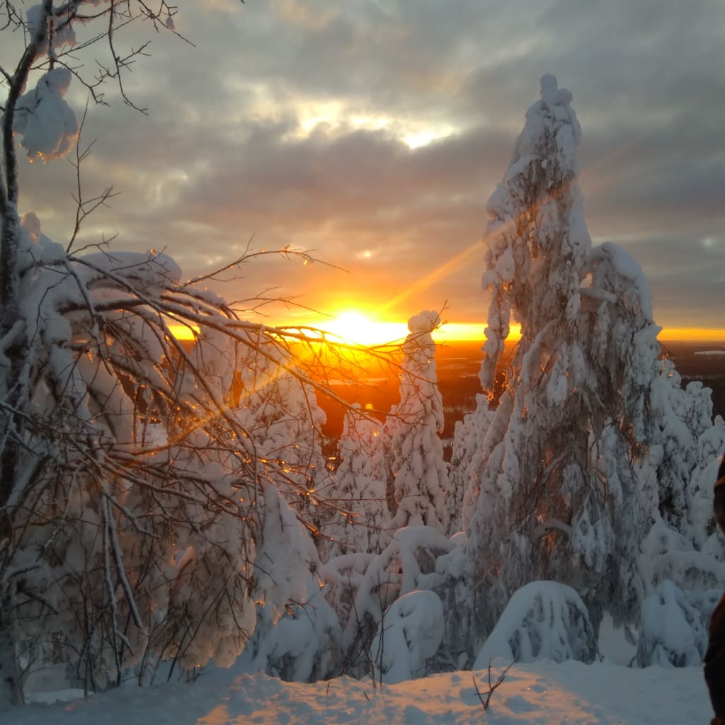A New Dawn A New Dawn