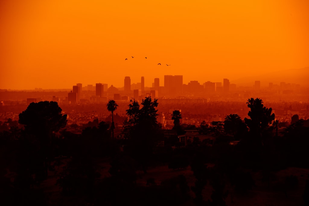 Lost in the Smog. Lost in the Smog.