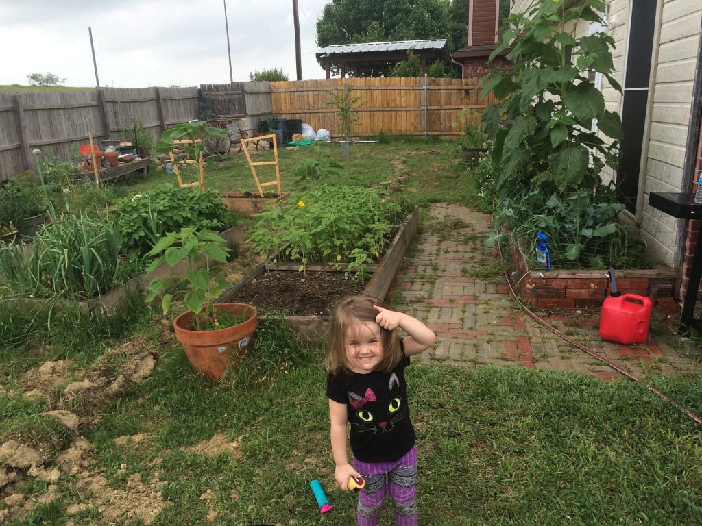 Sustainable Urban Farm with Video. Sustainable Urban Farm with Video.