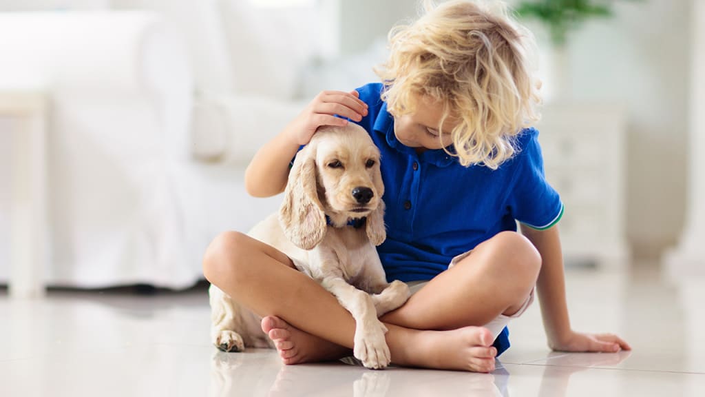 Pets: The Best Parenting Tutor Pets: The Best Parenting Tutor