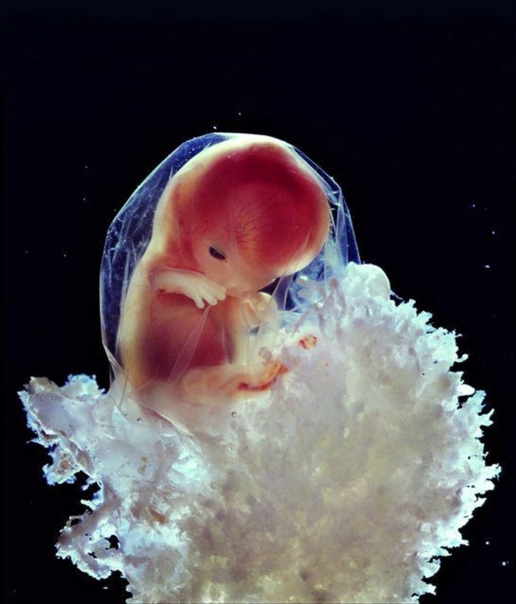 Abortion and The Argument from Personhood Abortion and The Argument from Personhood