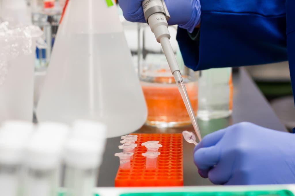 What Should I Avoid During a Drug Test? What Should I Avoid During a Drug Test?