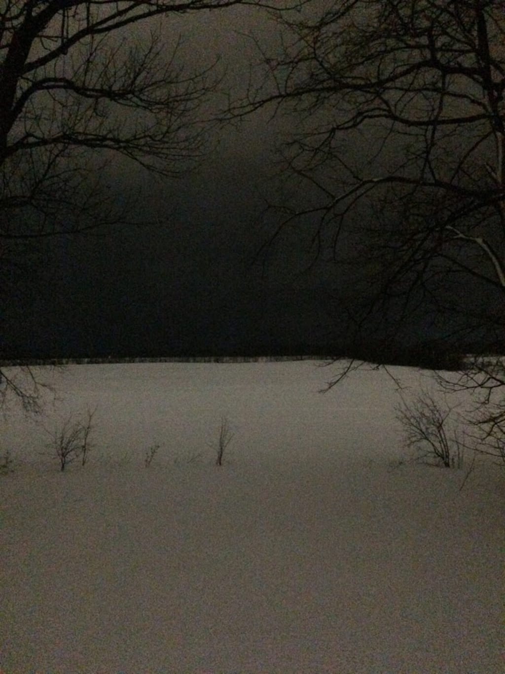 The North The North