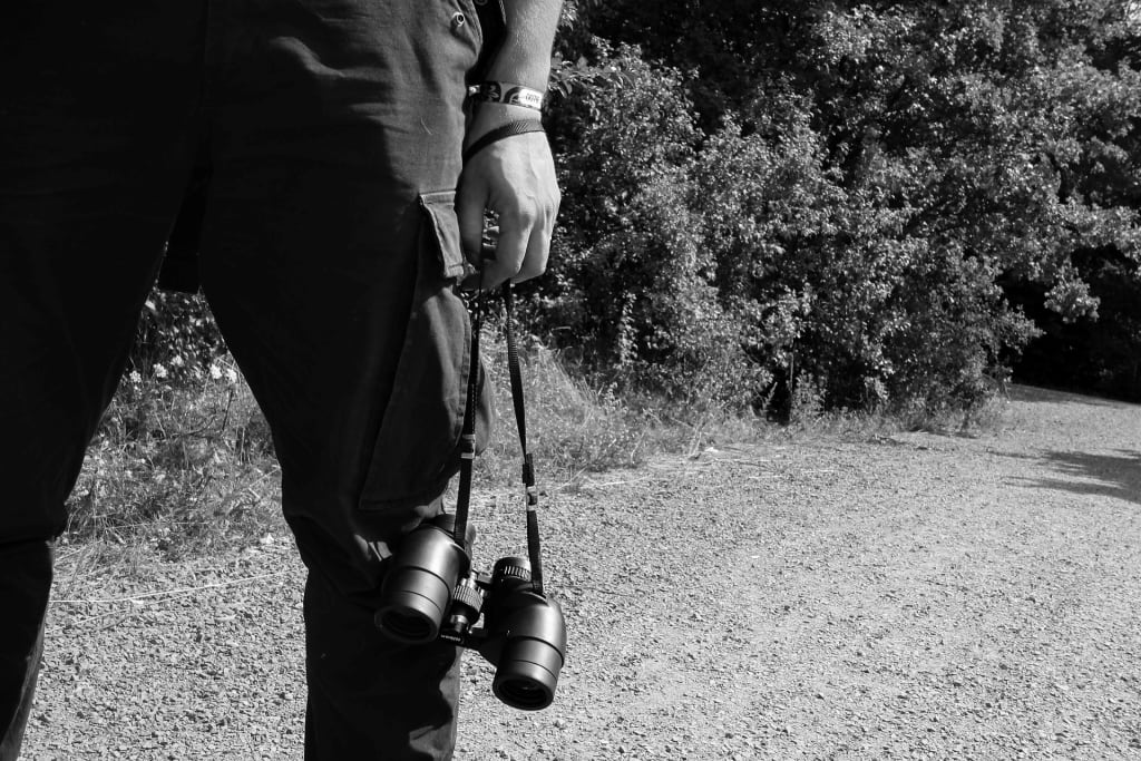 How to Pick the Best Binoculars? How to Pick the Best Binoculars?