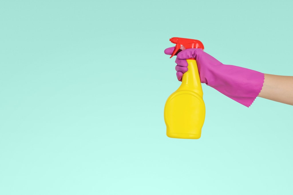 The Most Selfless Benefits of Having an Eco Friendly Cleaning Service! The Most Selfless Benefits of Having an Eco Friendly Cleaning Service!