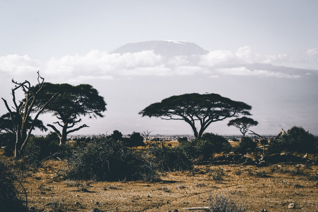 Exploring Africa Like a Pro Exploring Africa Like a Pro