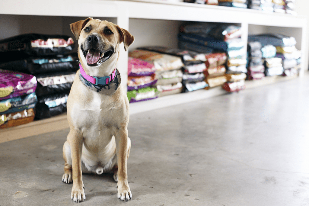 Care And Concerns For Choosing The Right Food From The Pet Food Stores Care And Concerns For Choosing The Right Food From The Pet Food Stores