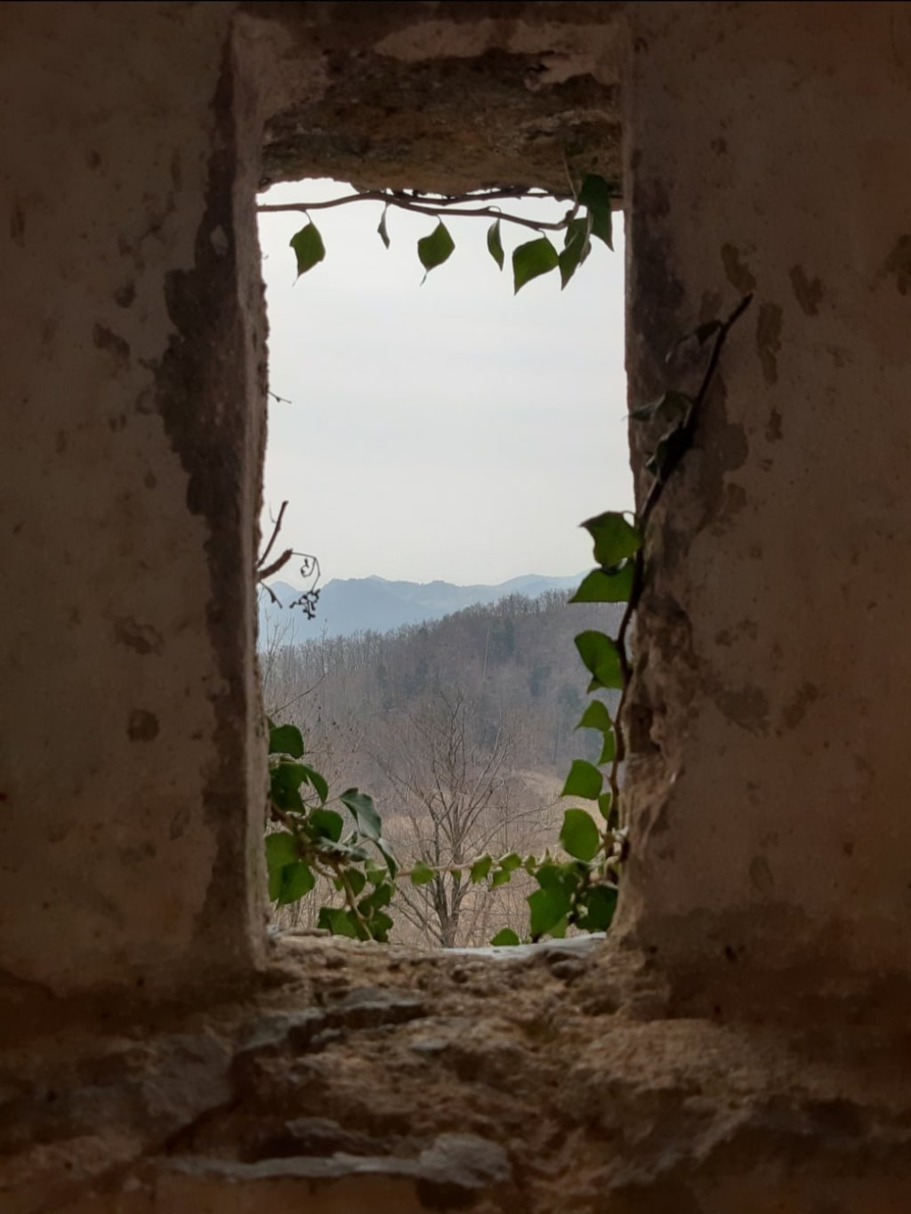 Life, reframed. Life, reframed.