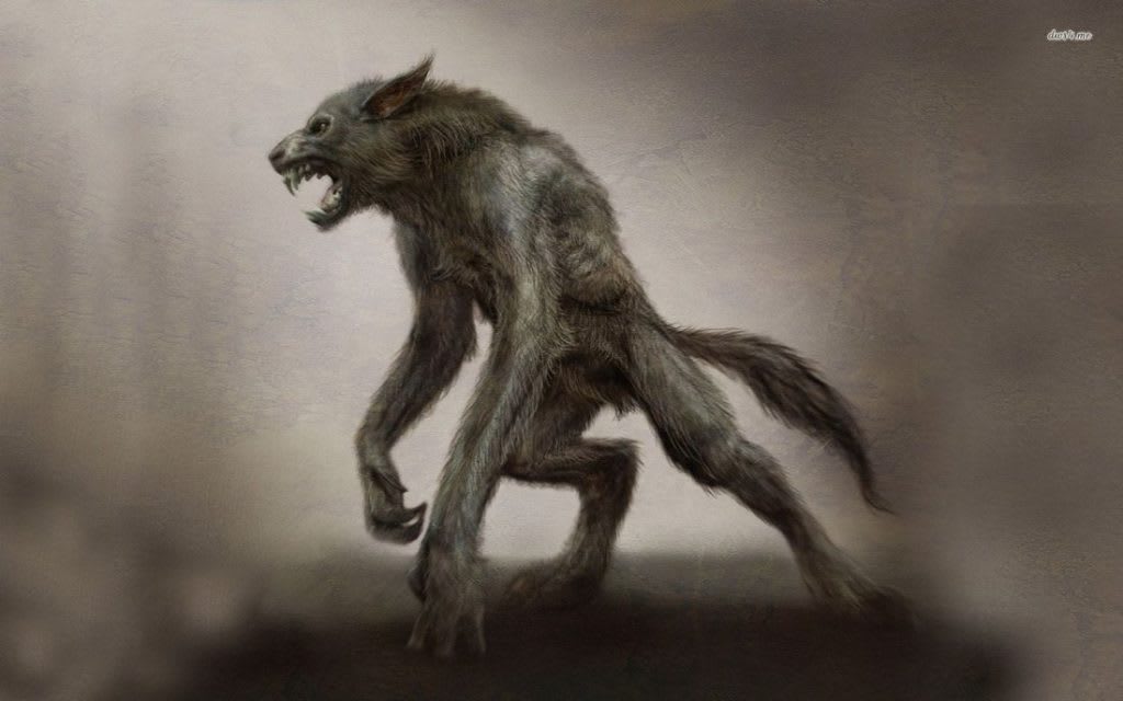 The hunt for the Kentucky wolfman The hunt for the Kentucky wolfman