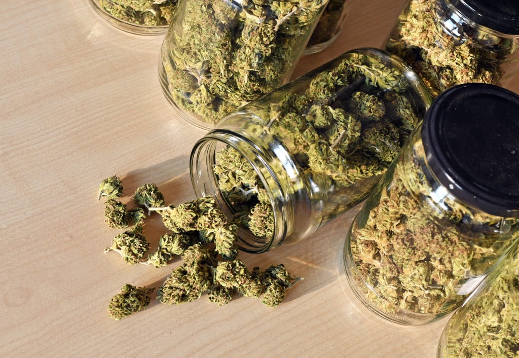 The Endocannabinoid System Producing Your Own Cannabinoid CBD The Endocannabinoid System Producing Your Own Cannabinoid CBD