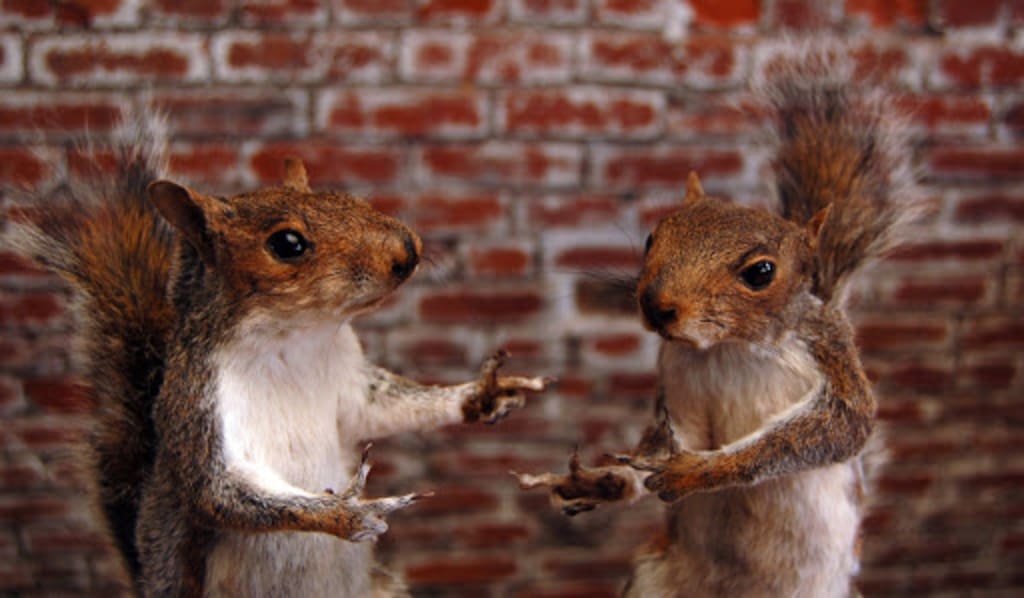 Tame Your Squirrel Brain: Conversation Tips for People With ADD
Tame Your Squirrel Brain: Conversation Tips for People With ADD