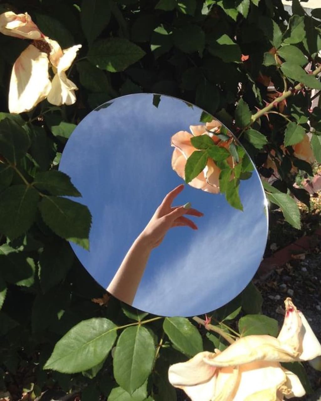 Rebirth, Rejuvenation and Renewal: March 2020's New Moon in Aries Rebirth, Rejuvenation and Renewal: March 2020's New Moon in Aries