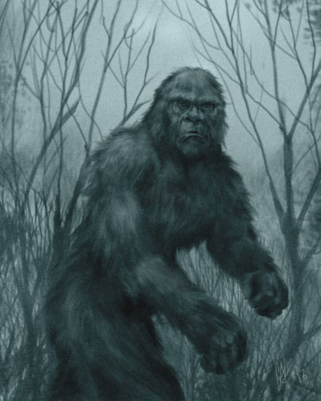 Bigfoot investigation Bigfoot investigation