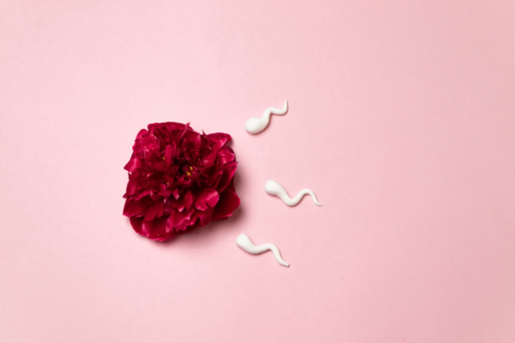 What Are The Possible Causes Of Female Infertility? What Are The Possible Causes Of Female Infertility?